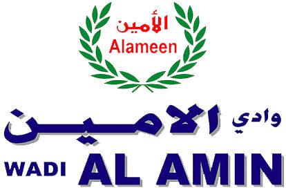 Wadi Al Amin